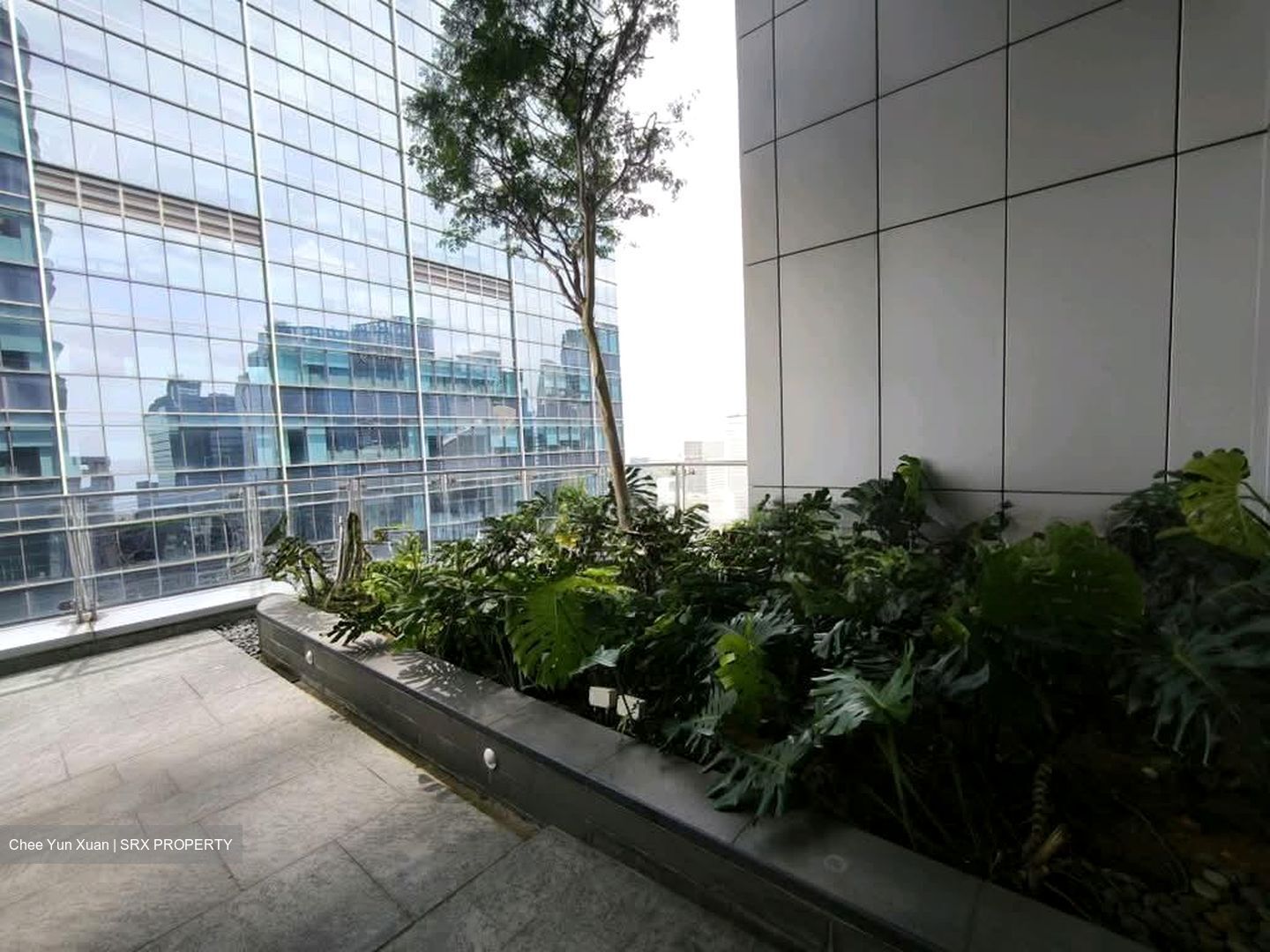 Sbf Center (D1), Office #577690911